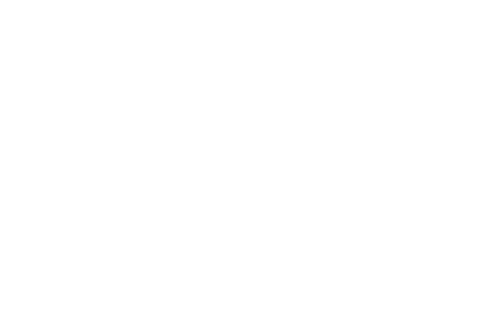 česká televize