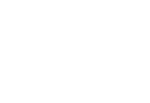 swann galleries