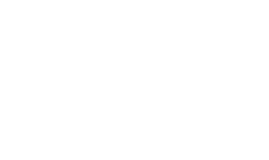 a11